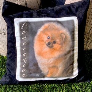 Pomeranian pillow!